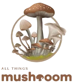 All Things Mushroom